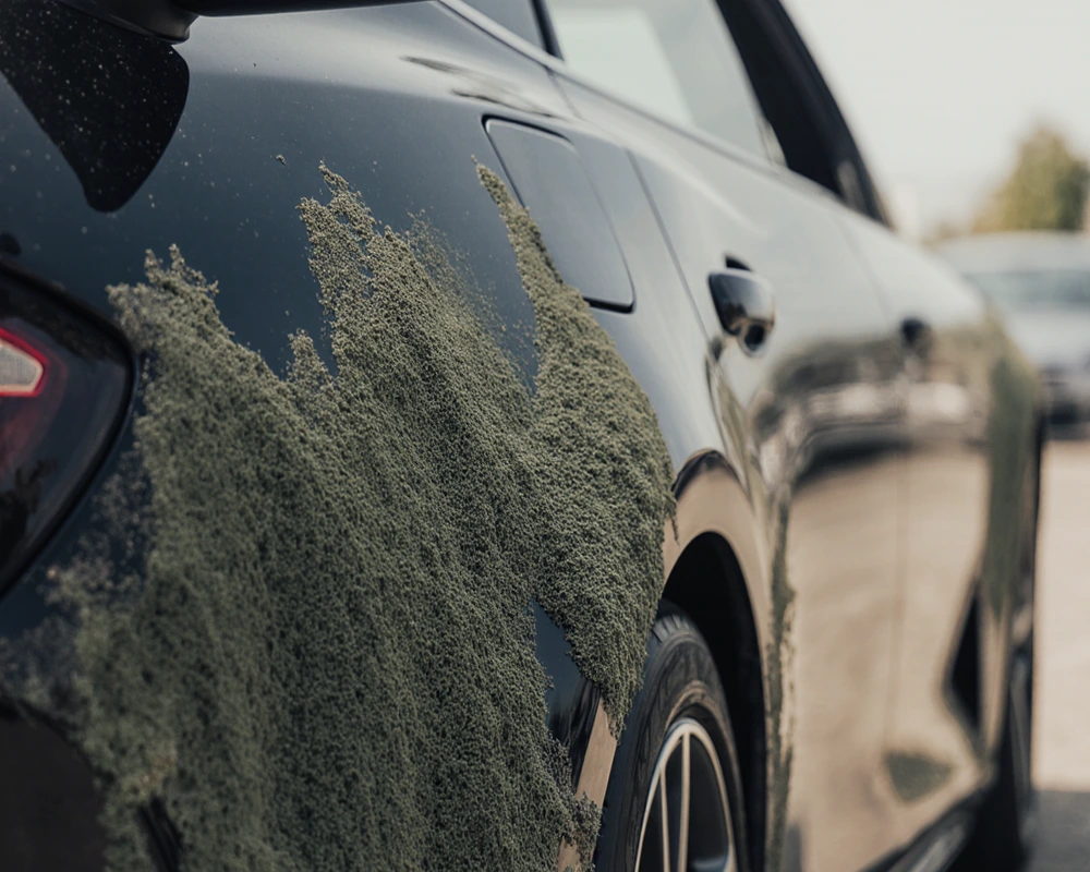 car with mold growing at the sides