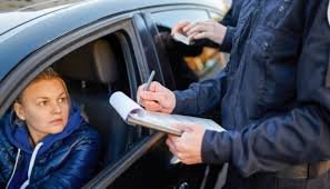 Florida Driving License