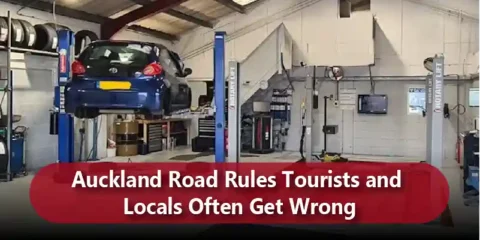Auckland Road Rules Tourists and Locals Often Get Wrong