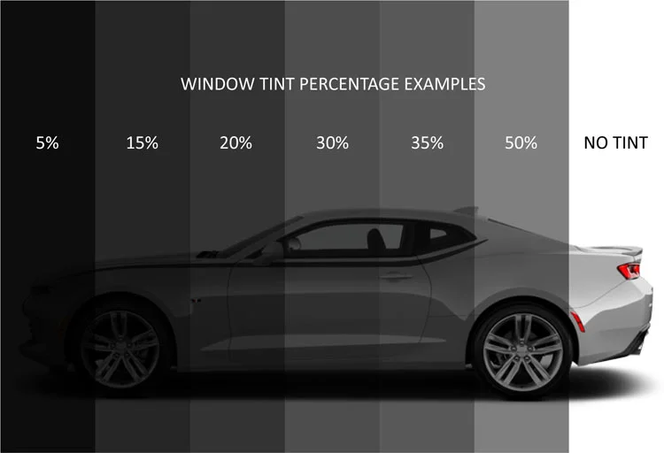 California vs Texas Tint Laws Comparison